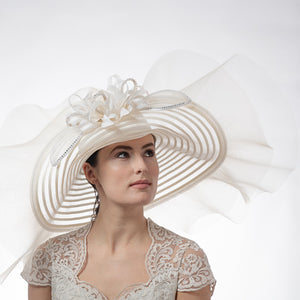 Wide Ruffles Crin Brim Fashion Women's Hat